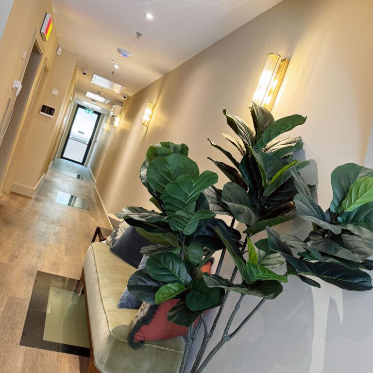 Balham Dental Practice Clinic Rooms 768x768